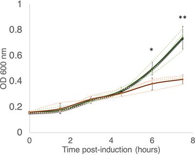 The Sole Mycobacterium smegmatis MazF Toxin Targets tRNALys to Impart Highly Selective, Codon-Dependent Proteome Reprogramming